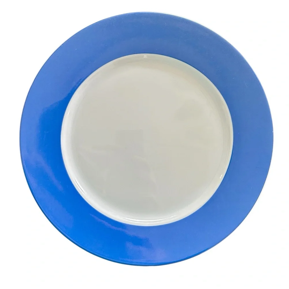 IKEA Blue Rim 10 3/4” Dinner Plates Set of Six